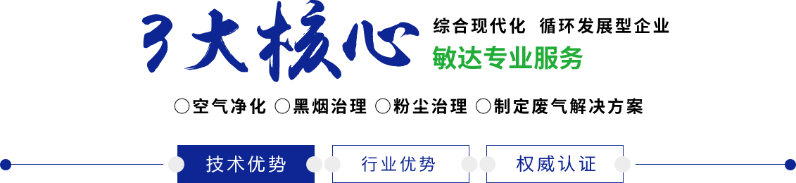 正规操屄网站大全免费观看敏达环保科技（嘉兴）有限公司